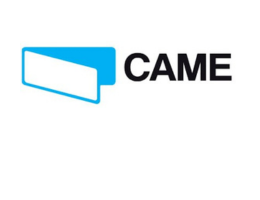 Came